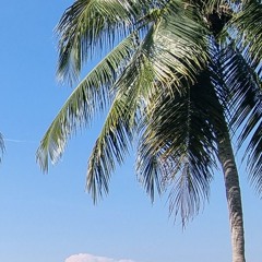 Lee Jung - Sad Love (사랑이 서럽다) Cover