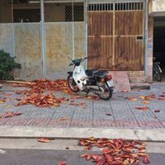 Nguyễn Xuân Thành