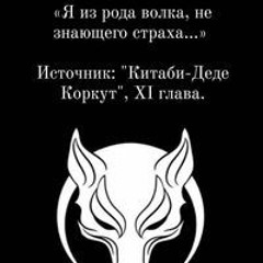Rustam Rustam