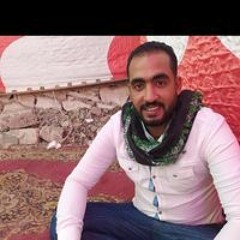 محمد سليم الصعيدي