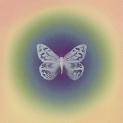 fly