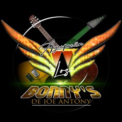 AGRUPACION LOS BONNYS