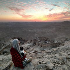negar.shaghooei
