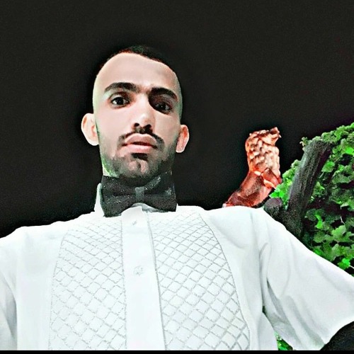 Soheil Shams’s avatar