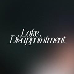 Lake Disappointment