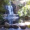 Yung Gucci Waterfall