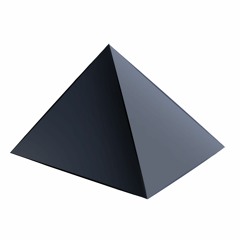Shunite
