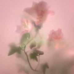 AreBee