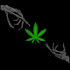 makyna420