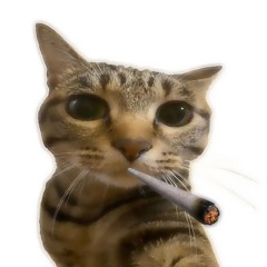 Dremmbasik