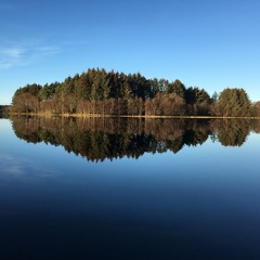 Karianne Løining Karlsen