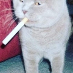 gabrys