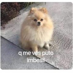 Humberto