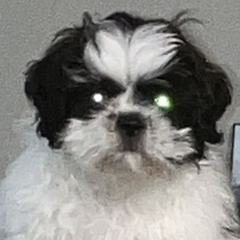 jetxsgcsv