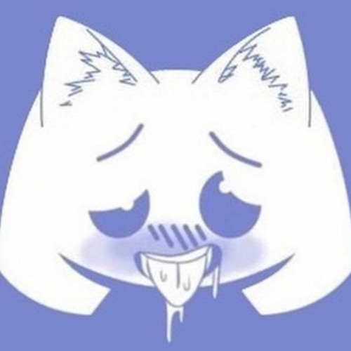 Discord Cat’s avatar