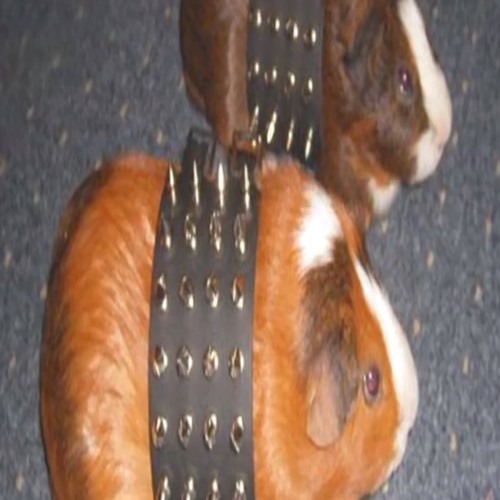 guitar argument/twilight skies demo