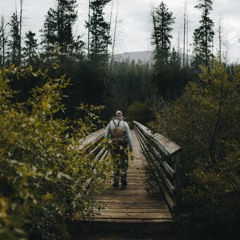 Paradox of the Stone