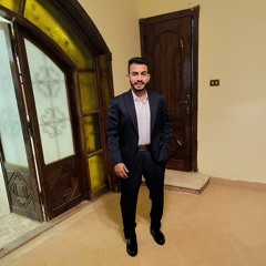 Ahmed M ElMohr