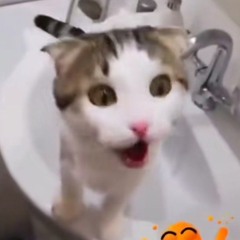 srg