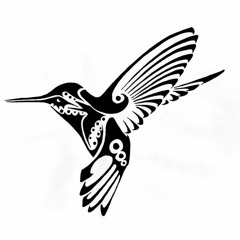 Kari Hummingbird