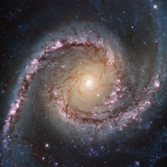 felix3.9.