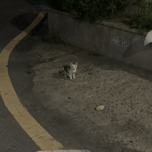 장기하 - 그때 그노래 (커버곡)