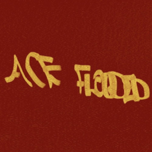 Ace Flooded’s avatar