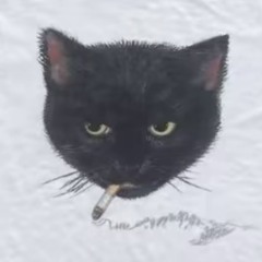 Cat with cig’
