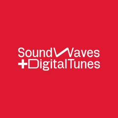 SW+DT Records
