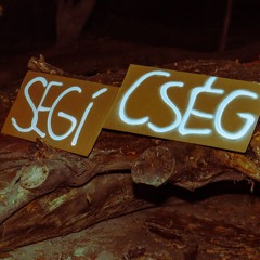 SIL VEE