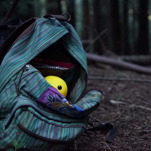 N11 - Let's Go With That