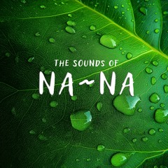 The Sounds of Na~Na