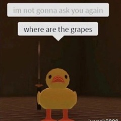 WHERE ARE THE GRAPES