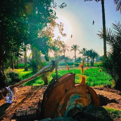 Alaa Ramdan