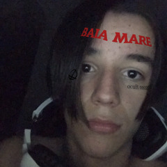 qdenis23