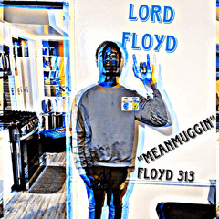 floyd313