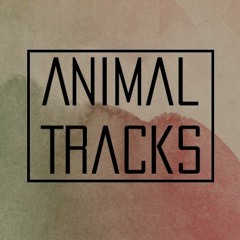 Animal Tracks
