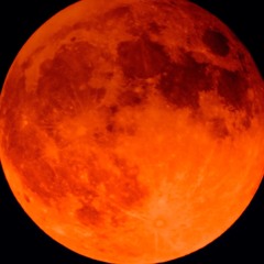 TOAST MUSIC ENTERTAINMENT LLC.