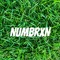 NUMBRXN