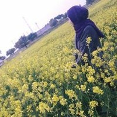 إسراء عامر