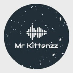 Mr Kittenzz