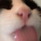 hgdtyhg
