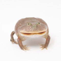 pannussoobin:-O