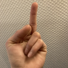 user295430901