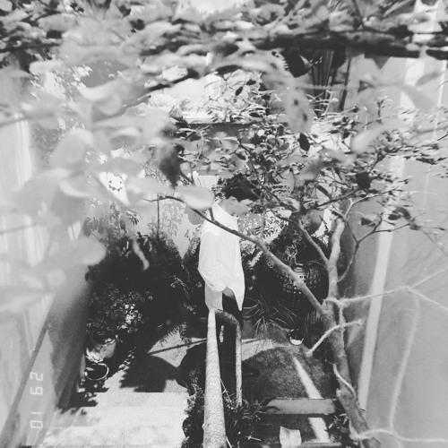 Stream Calvin Harris, Taylor Swift New Song Leak by Trình Trình | Listen online for free on