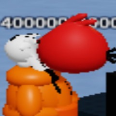 ayo what the bird doing
