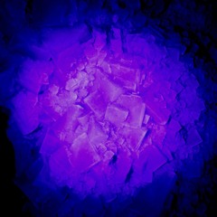 <||> TransparentMind <||>