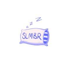 SLMBR