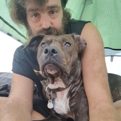 Taz J Scheffers