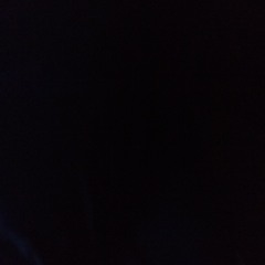 Christin Schlippschuh